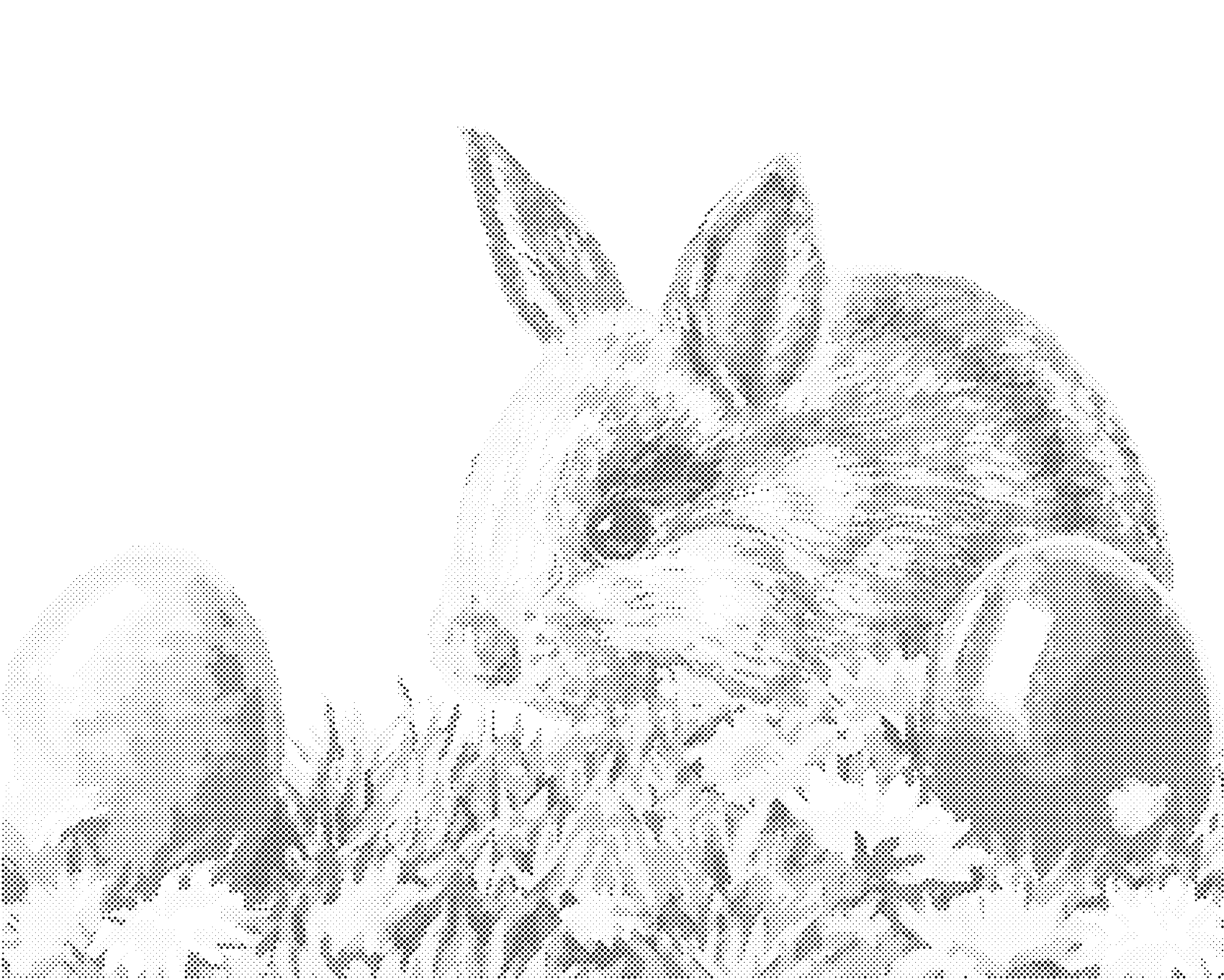 Tečkování - KRÁLÍK A VELIKONOČNÍ VAJÍČKA Rozměr: 40x50 cm, Rámování: vypnuté plátno na rám